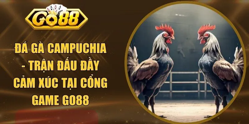 Đá Gà Campuchia - Trận Đấu Đầy Cảm Xúc Tại Cổng Game GO88
